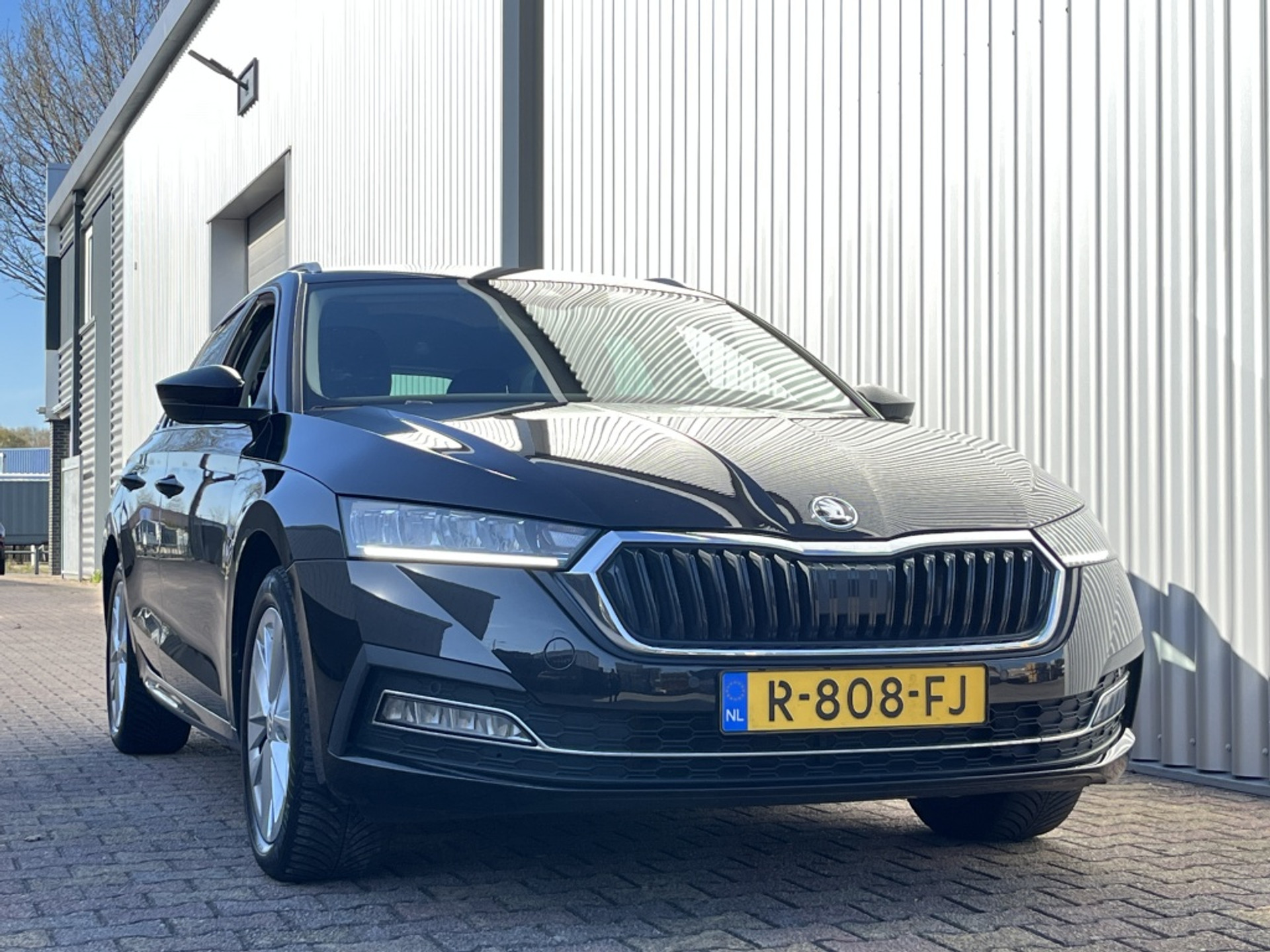 43145926-10.jpg