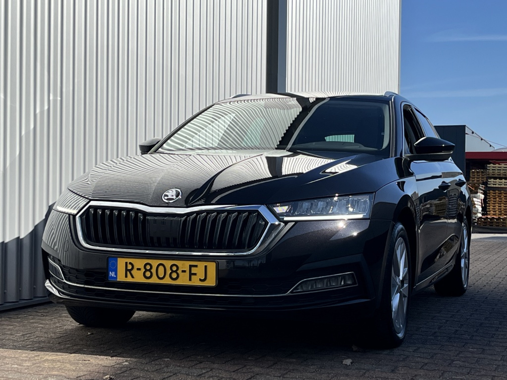 43145926-2.jpg