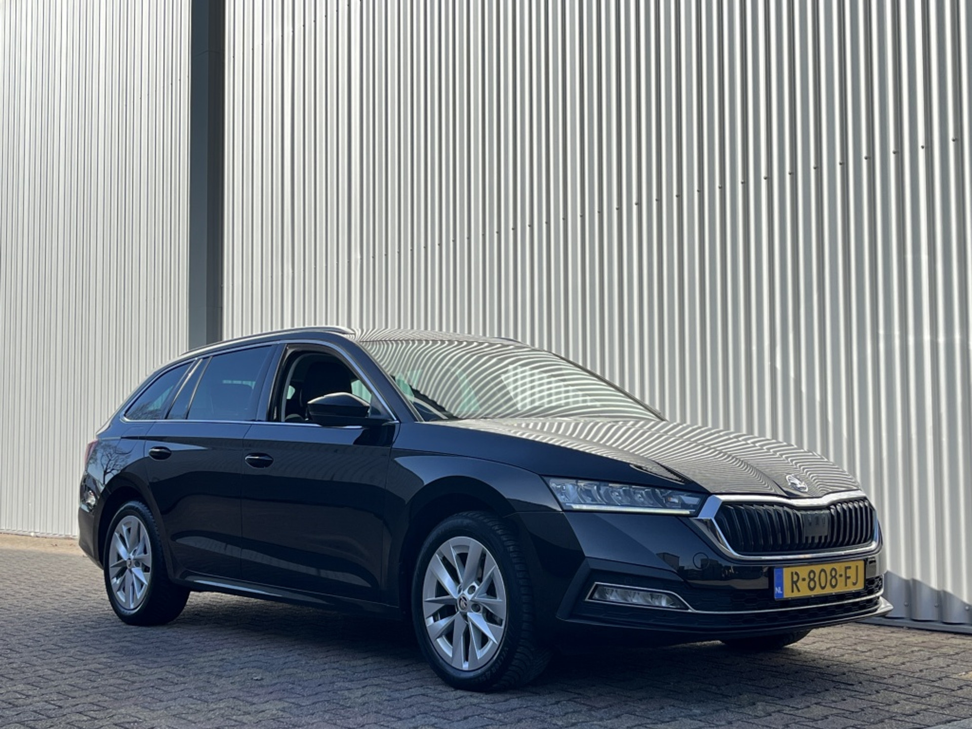 43145926-9.jpg